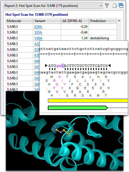 PCRSiteDirected-Featured PCR Site Directed Mutagenesis